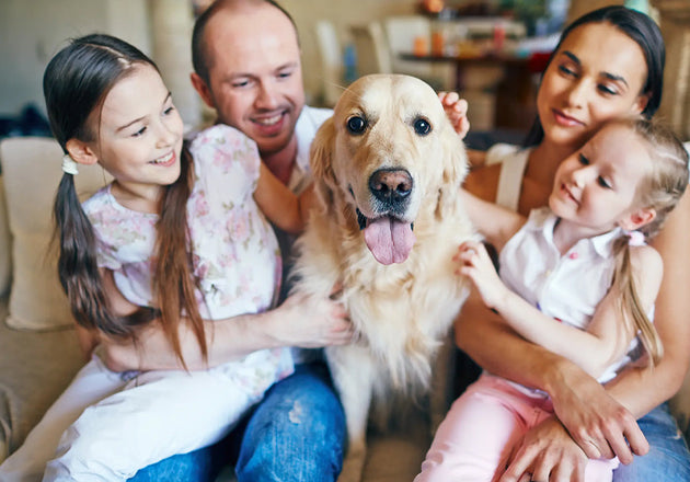 Which Pet is Right for You?