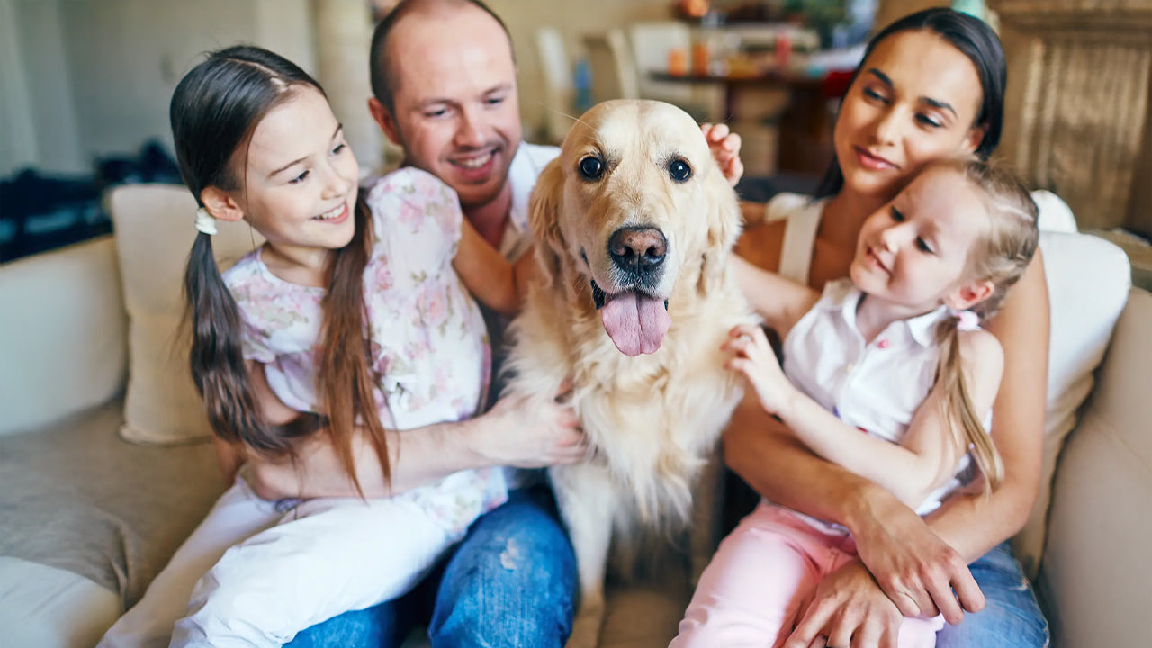 Which Pet is Right for You?