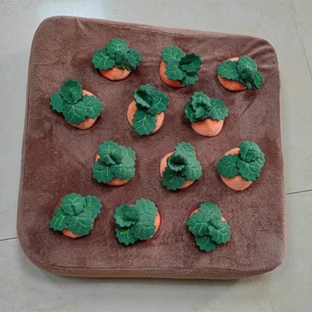 Vegetable Chew Toy