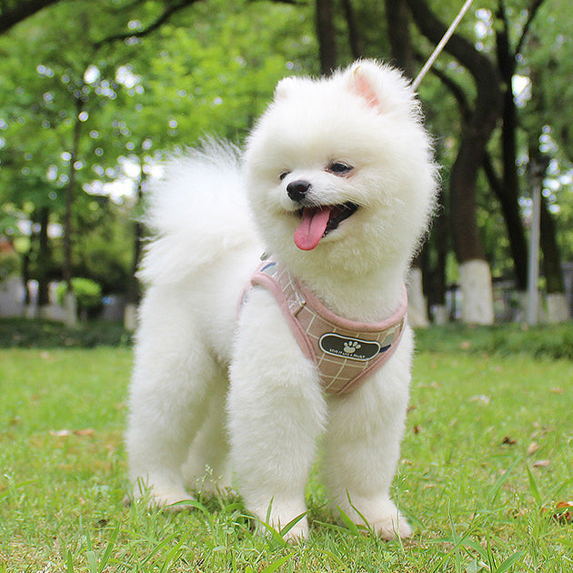 Breathable walk