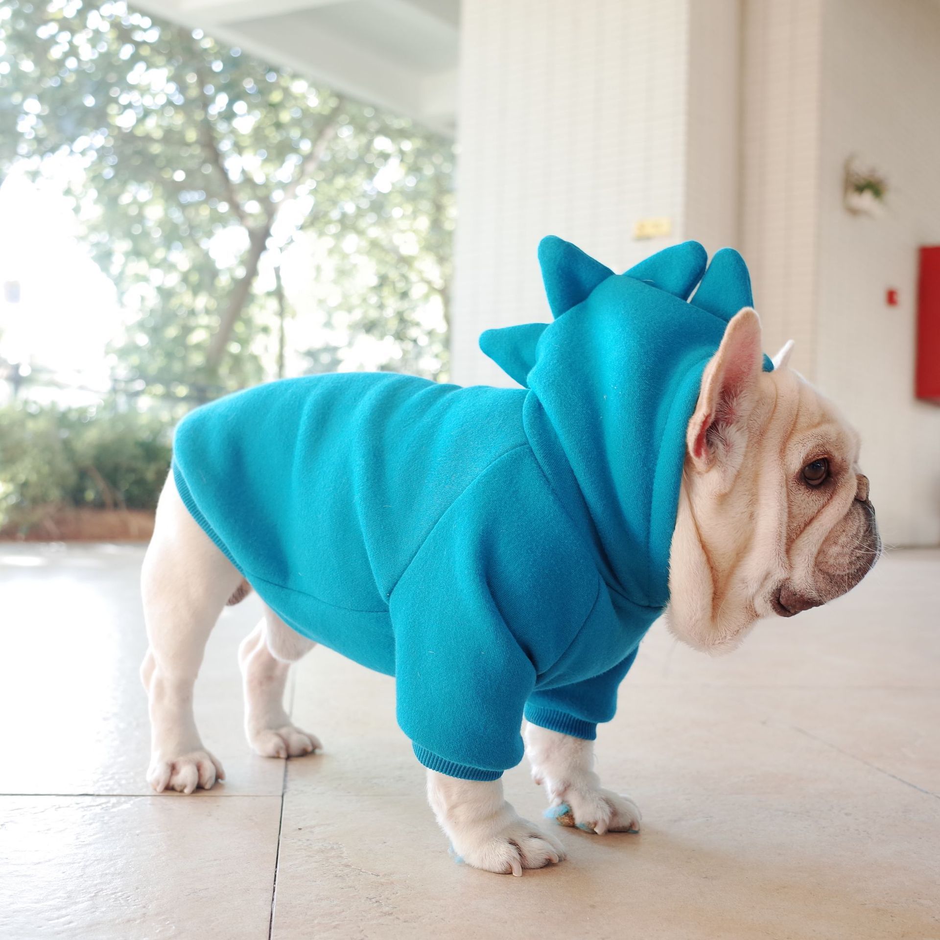 Pet Hoodie