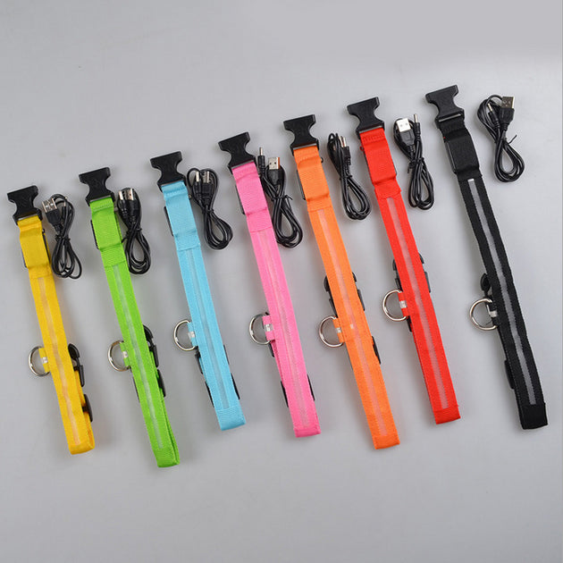 LED  Collar