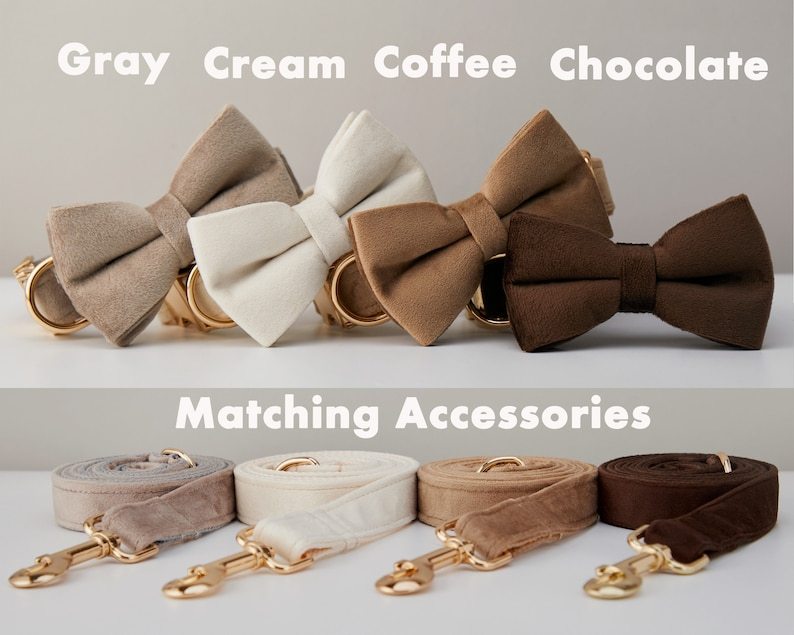 VelvetPaw Bow Set
