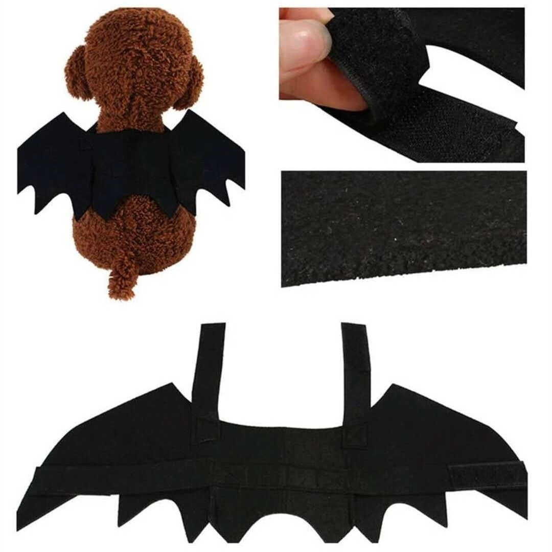 Bat Wings