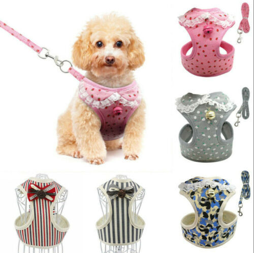 Lilo Harness