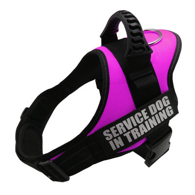 Personalized Harness