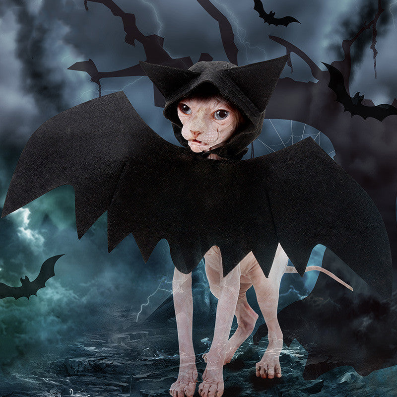 bat wings