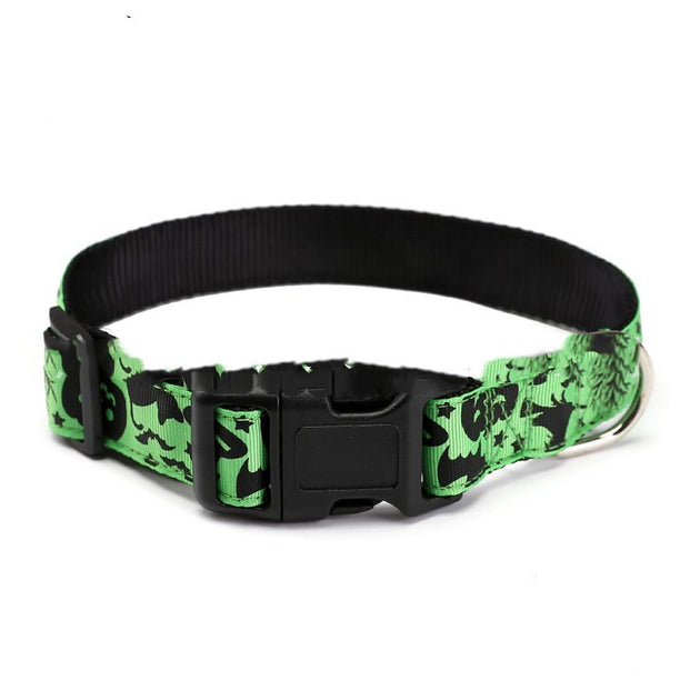 Spooky Collar