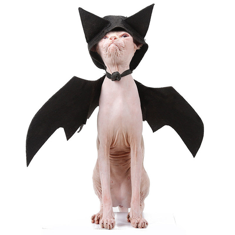 bat wings