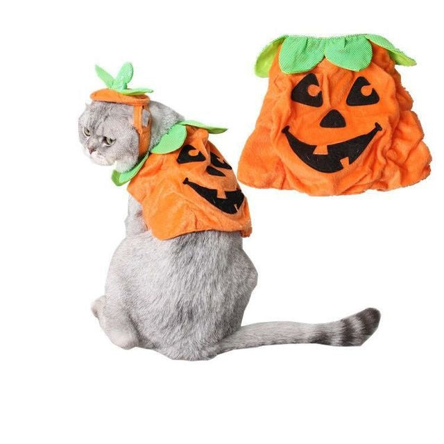 Pumpkin Costume