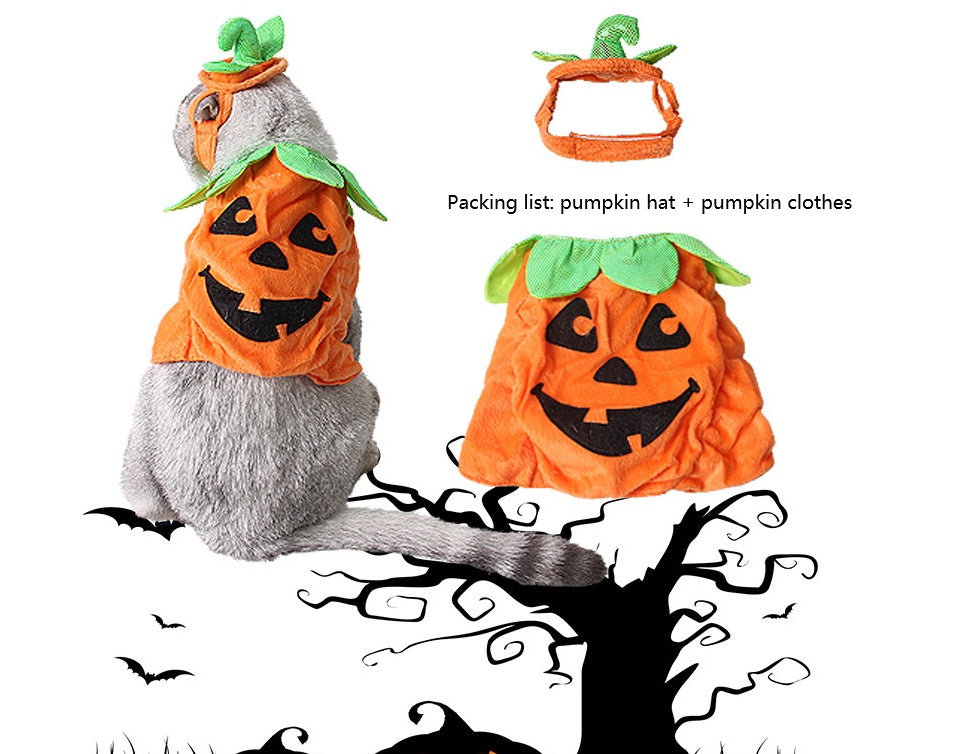 Pumpkin Costume