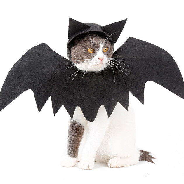 bat wings