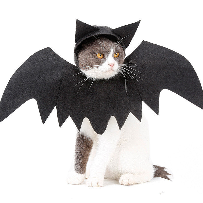 bat wings
