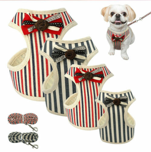 Lilo Harness