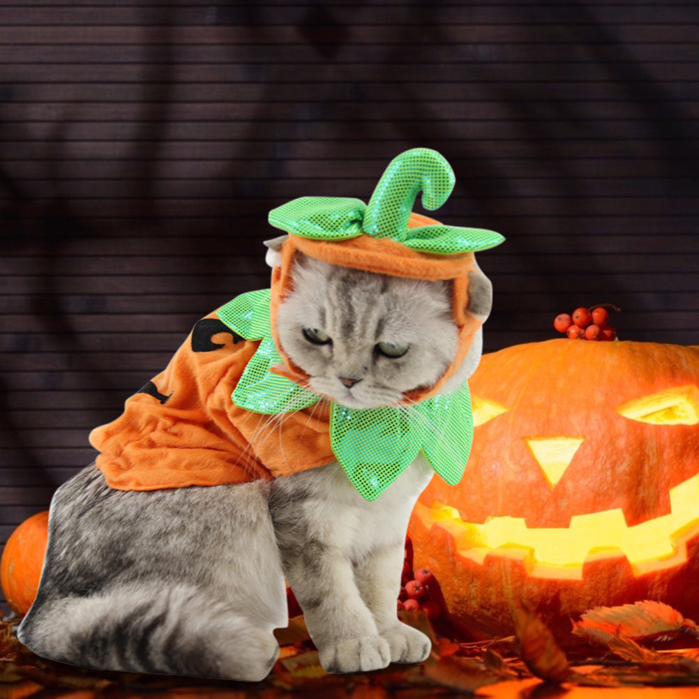 Pumpkin Costume