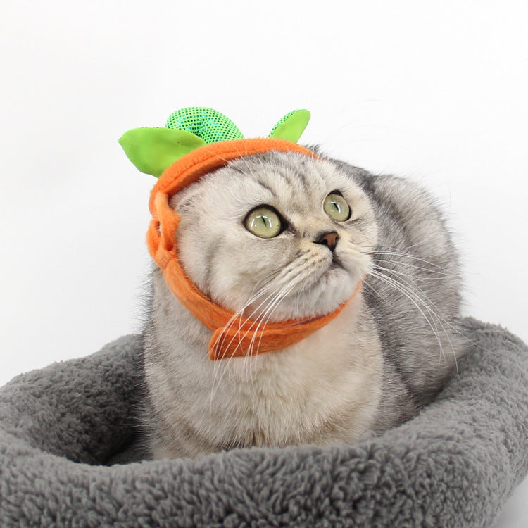 Pumpkin Costume