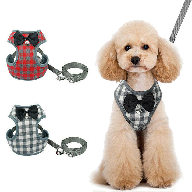 Bow leash