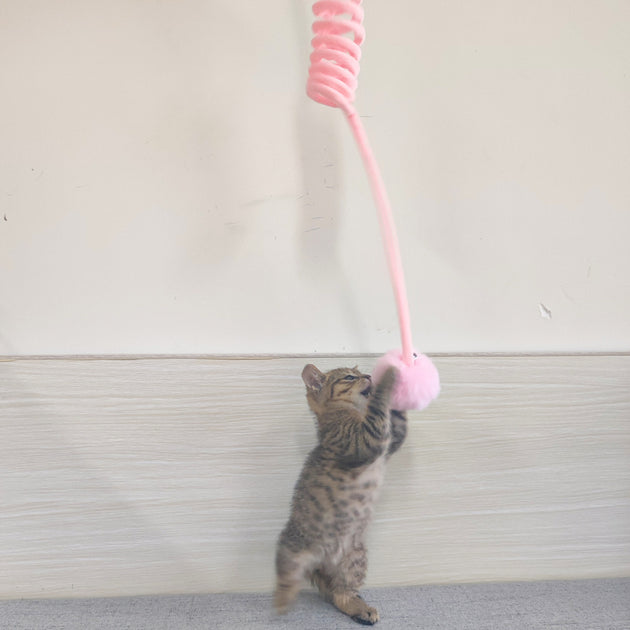 Spring Rabbit Toys