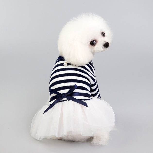 Teddy Dress