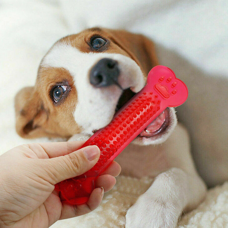 Flat Bone Toy