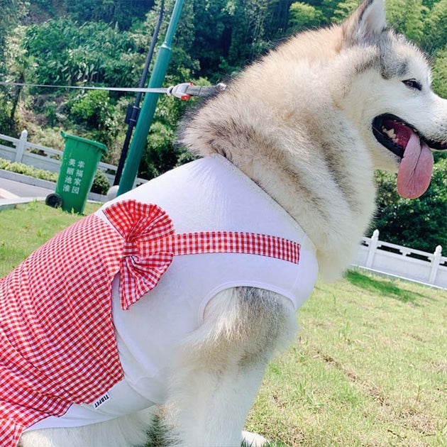 Fifi Dress
