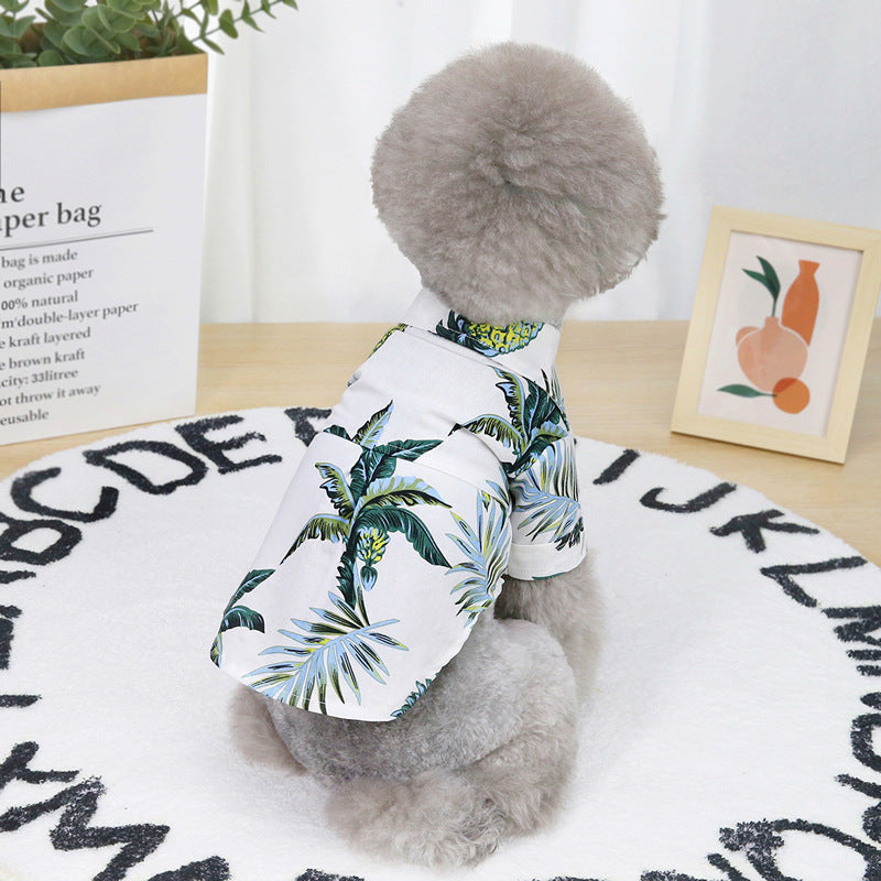 Summer shirt