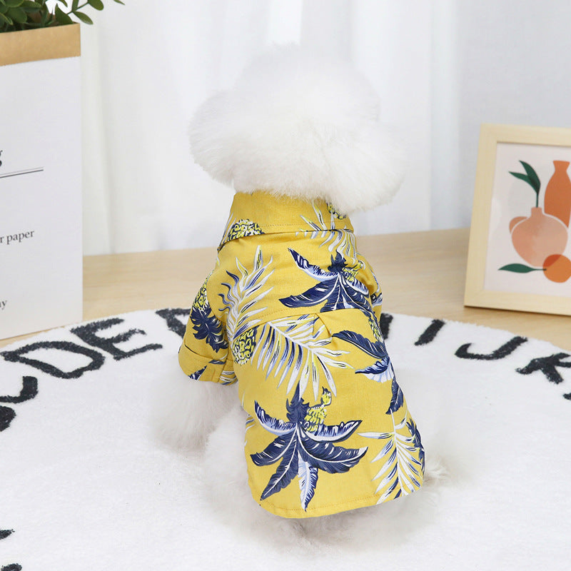 Summer shirt