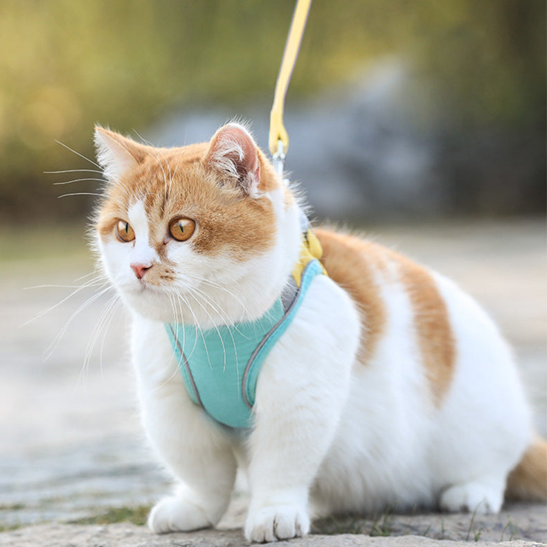 Anti-Stroke Walking Rope