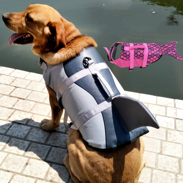 Shark life jacket