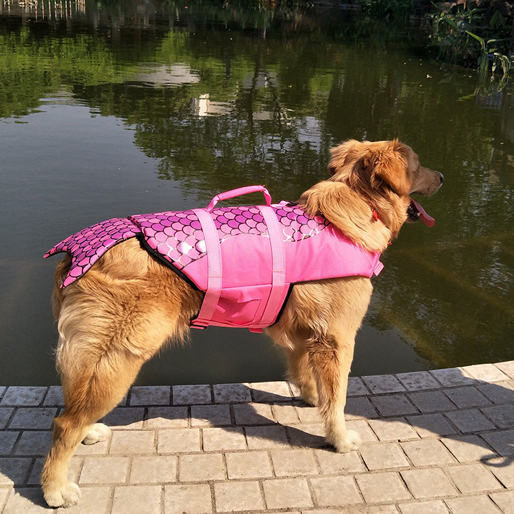 Shark life jacket