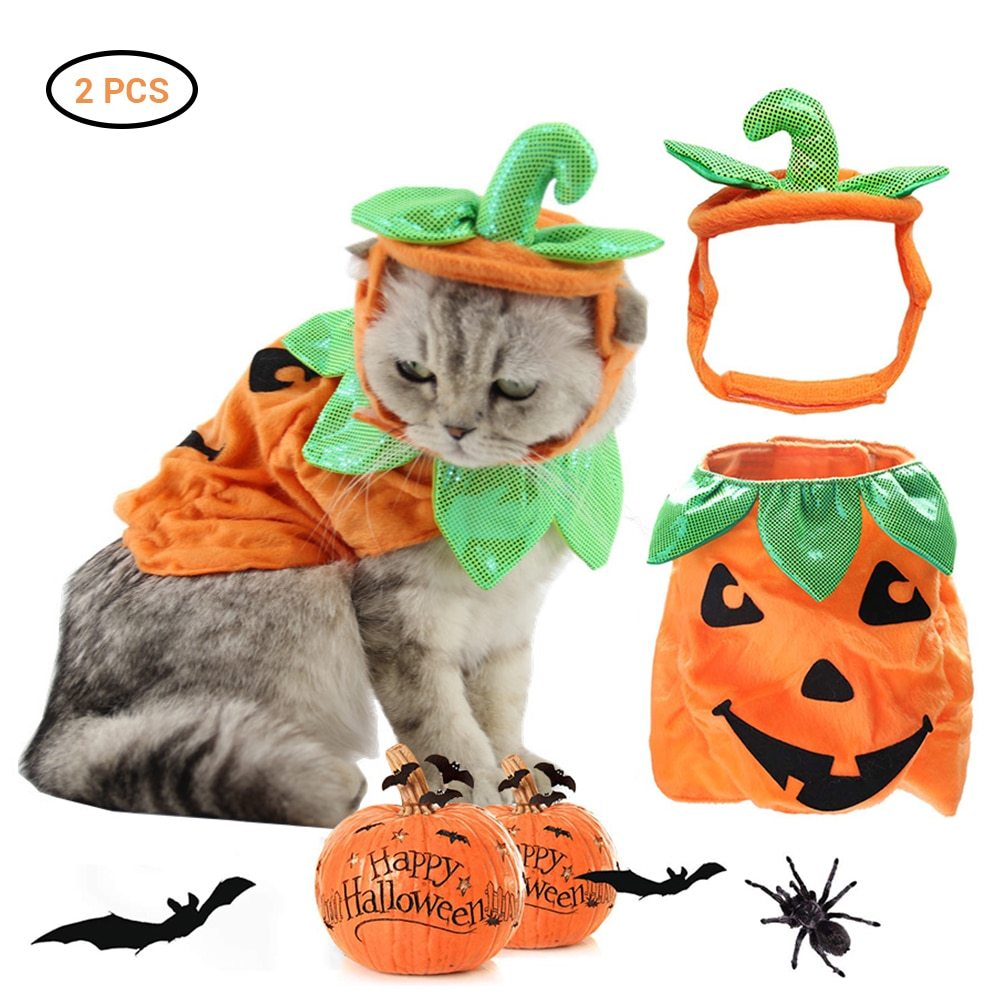 Pumpkin Costume