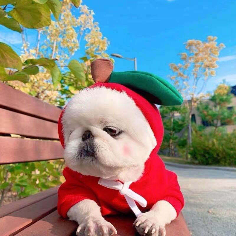 Hoodies Winter