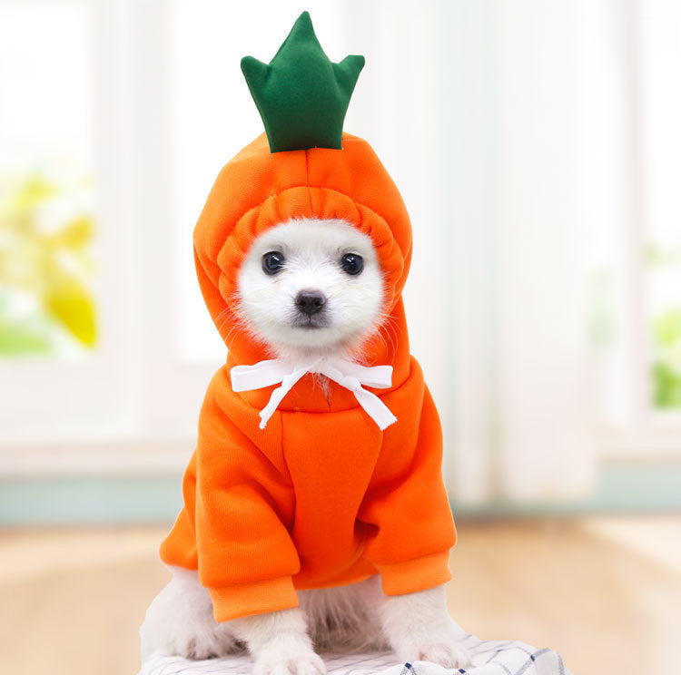 Hoodies Winter
