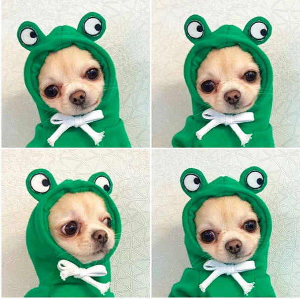 Hoodies Winter