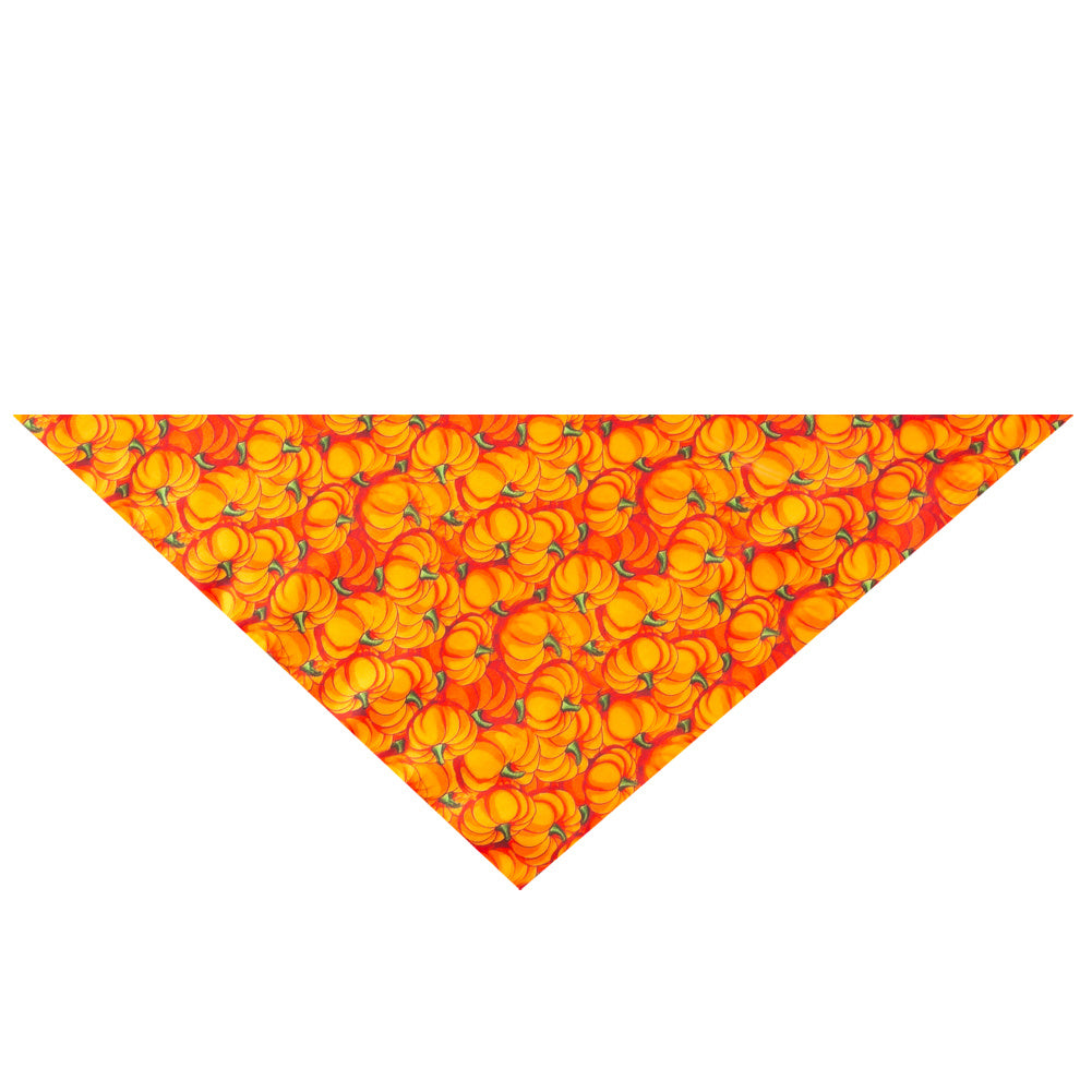Pumpkin Scarves