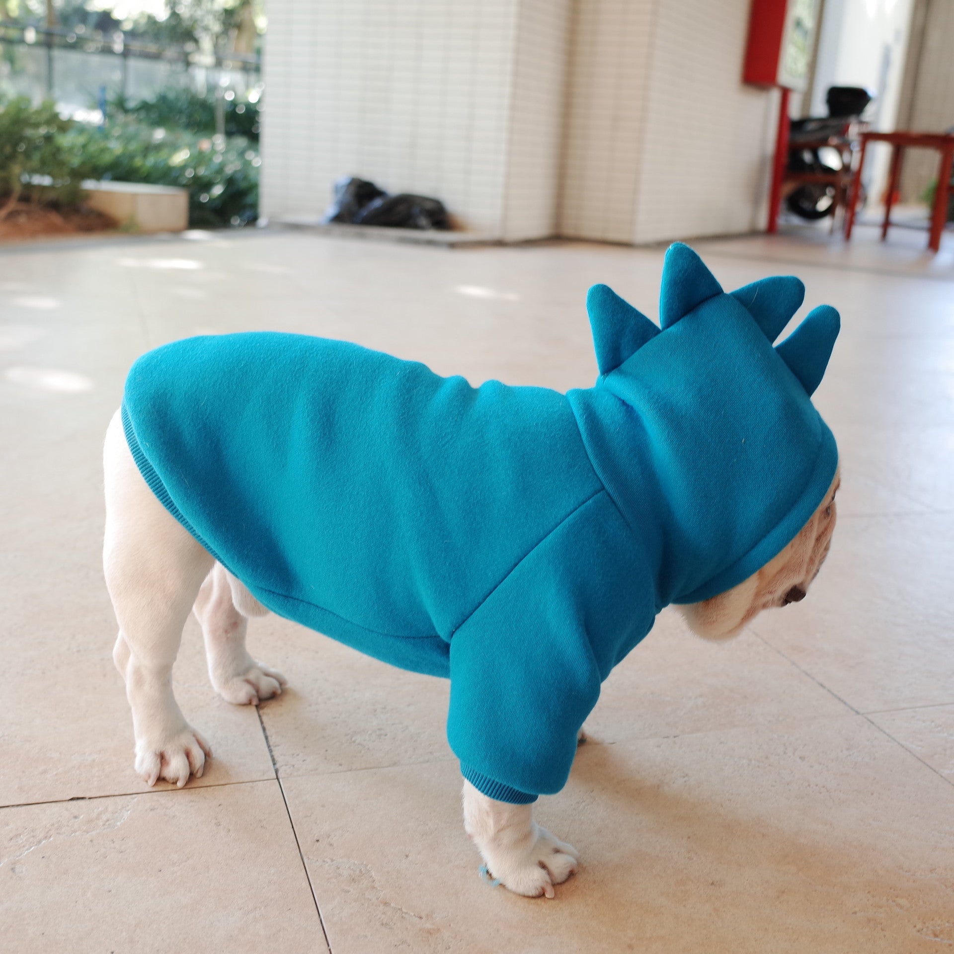 Pet Hoodie