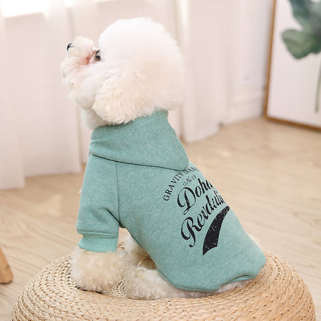Asher Hoodie