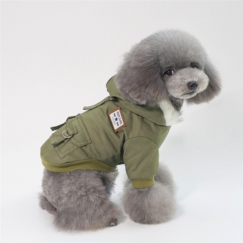 Cap coat