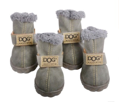 Teddy  Shoes