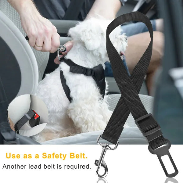 Seat Belt Leash