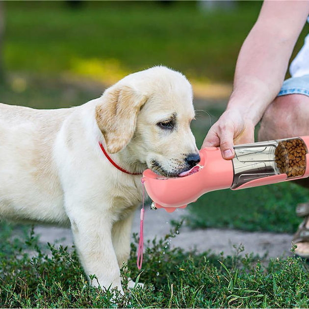 3 In 1 Dog Water Bottle