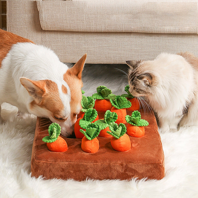 Vegetable Chew Toy