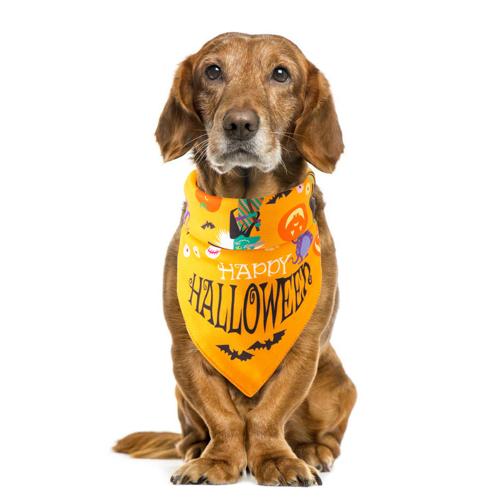 Pumpkin Scarves