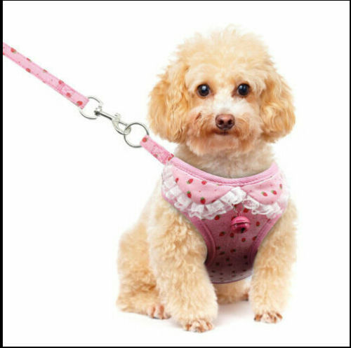 Lilo Harness