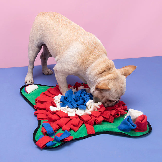 Snuffle Mat