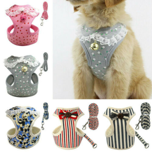 Lilo Harness