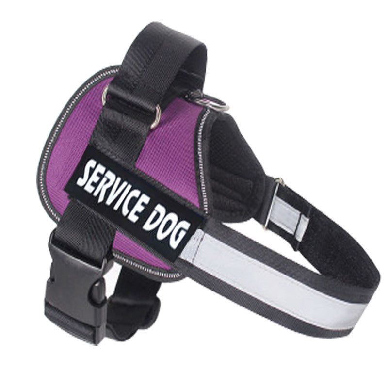 Service dog