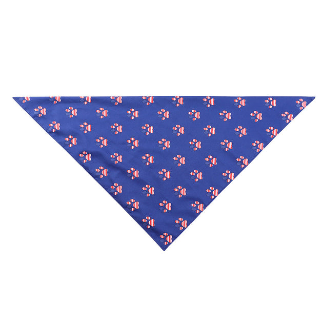American flag