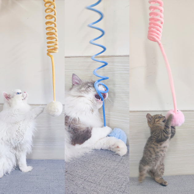Spring Rabbit Toys