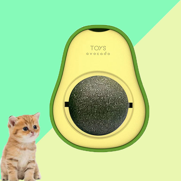 Avocado Toys